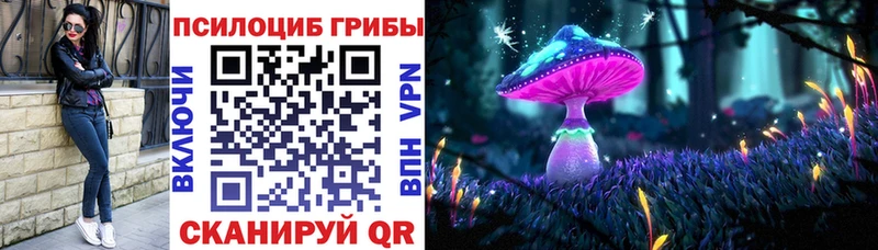 Галлюциногенные грибы Psilocybe  Медынь 