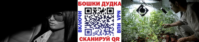 где найти наркотики  ссылка на мегу онион  Шишки марихуана план  Медынь 